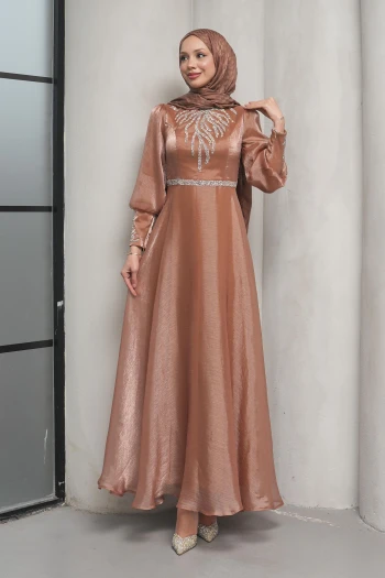 Koyuv Vizon Önü Taşlı Abiye